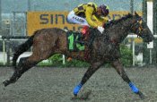 Apprentice A’Isisuhairi Kasim guides Kobe Top Gun to victory in driving rain on Sunday.<br>Photo by Singapore Turf Club